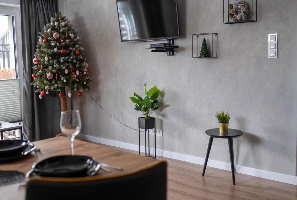 Apartament Nad Szczawniczkiem ムシナ エクステリア 写真