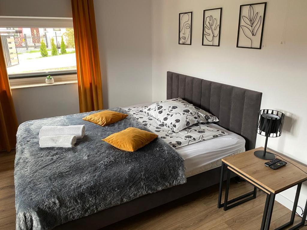 Apartament Nad Szczawniczkiem ムシナ エクステリア 写真