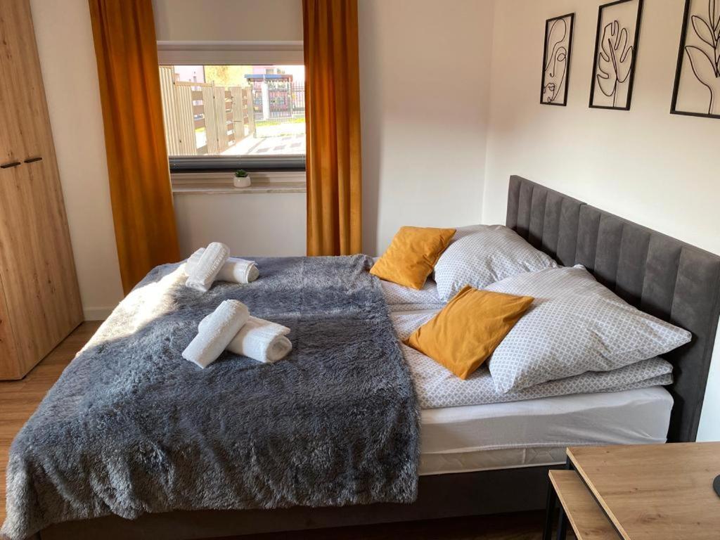 Apartament Nad Szczawniczkiem ムシナ エクステリア 写真